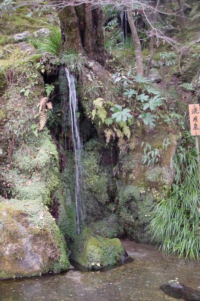 Waterfall in Ginkakuji Temple | Path of Philosophy | Japan