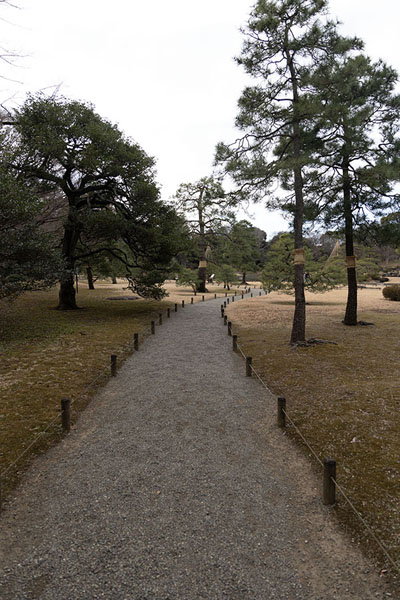 Foto di Path on the south side of Rikugi-en gardenTokio - Giappone