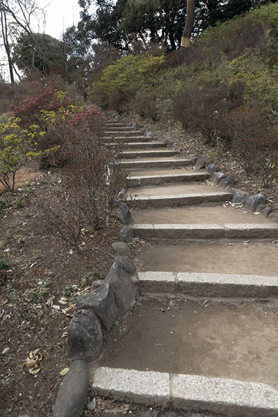Stairs leading to the top of Fujishiro-toge, the highest point of Rikugi-en garden | Giardini Rikugi-en | Giappone