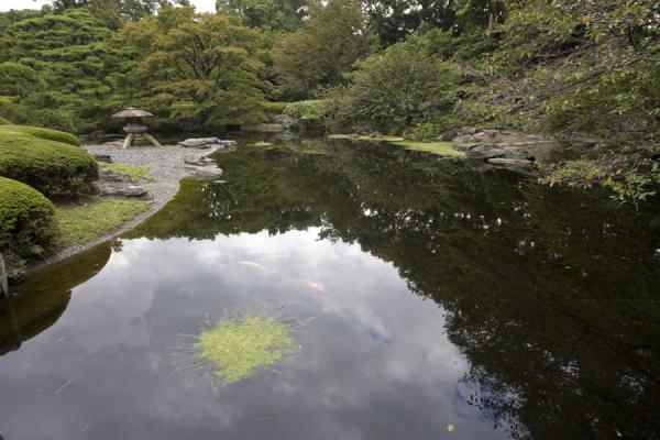 Trees and clouds reflected in the pond of Ninomaru Garden | Imperial Gardens | Japan