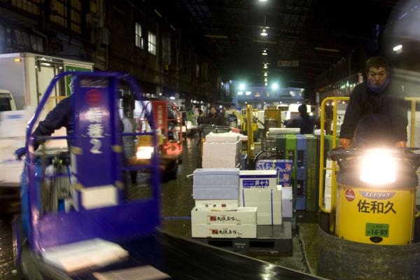 Picture of Tsukiji Central Fish Market (Japan): Tsukiji market is busy with carts