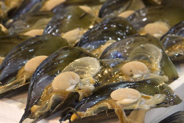 Picture of Tsukiji Central Fish Market (Japan): Close-up of mussels at Tsukiji fish market