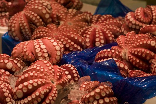 Picture of Tsukiji Central Fish Market (Japan): Stall with octopus at Tsukiji fish market