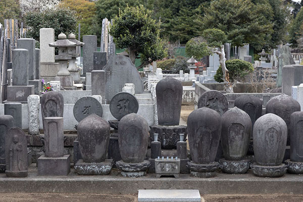 Foto di Stone objects with tombs behind at Yanaka CemeteryTokio - Giappone