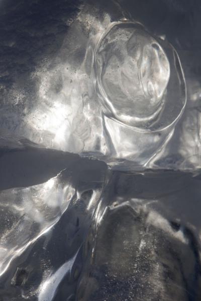 Picture of Astana Ice Sculptures (Kazakhstan): Animal eye carved out of ice in close-up in Astana