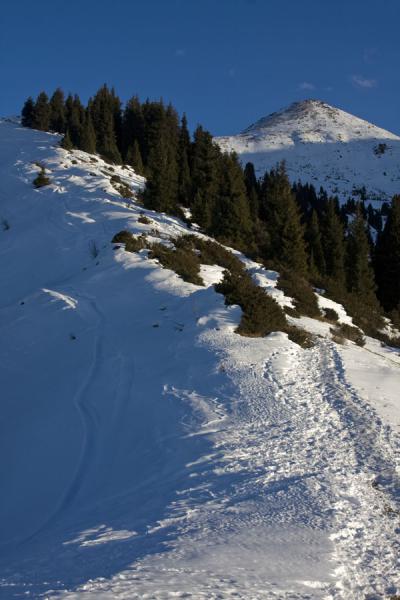 Picture of Mount Furmanova at the end of the trail