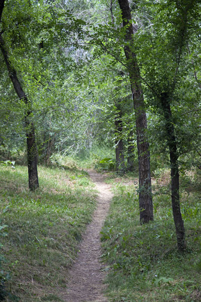 Picture of Kök Töbe Hill (Kazakhstan): Trail running over Kök Töbe