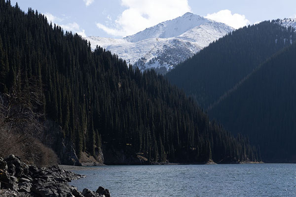 View of the forested shore of Kolsai Lake 2 with snowy mountains in the background | Lacs de Kolsai | Kazakhstan