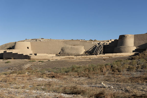 Picture of Wall and city gate on the west side of Otrar with foxOtrar - Kazakhstan