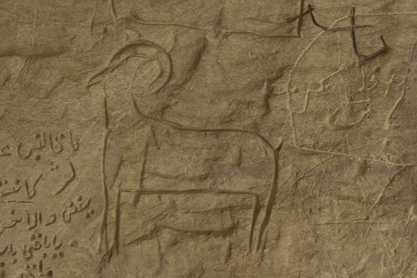 Foto de One of the animals carved in a wall of the underground mosque of Shakpak-AtaShakpak-Ata - Kazajstán