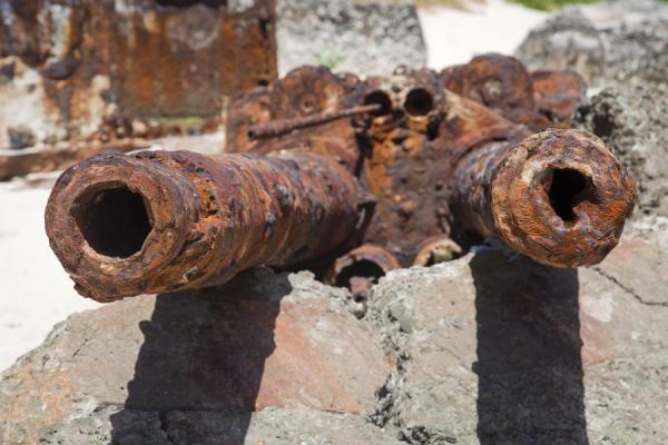 Picture of Battle of Tarawa relics (Kiribati): Rusting cannons on the beach at the south side of Betio