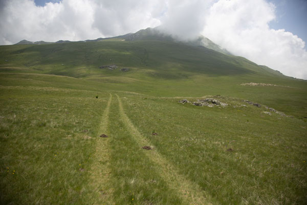 Foto di Kosovo (Marks of vehicle in the grassy slopes of the higher Šar mountains)