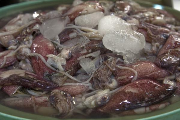 Picture of Squid on the fish market of Kuwait covered in ice cubes