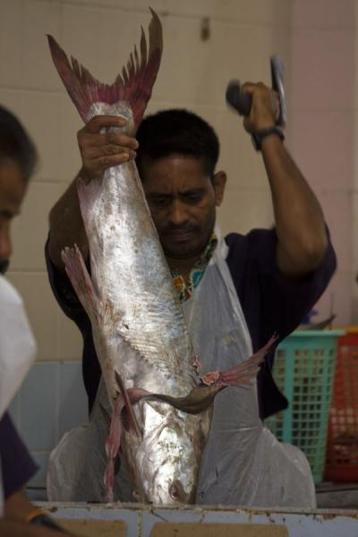 Picture of Man cutting a fish to pieces