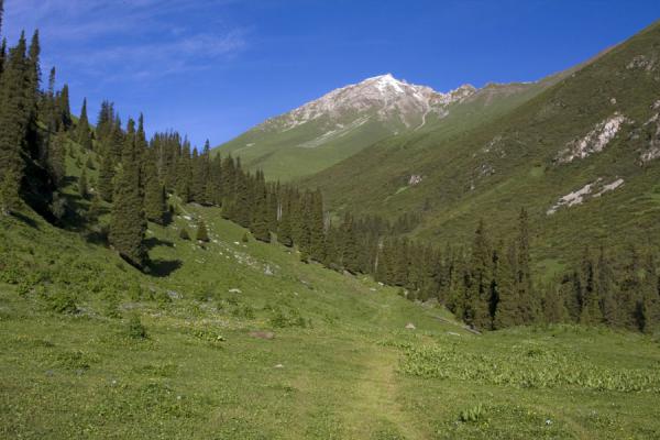Foto van Lower valley on the way up to Ala-Köl passKarakol - Kirgizië