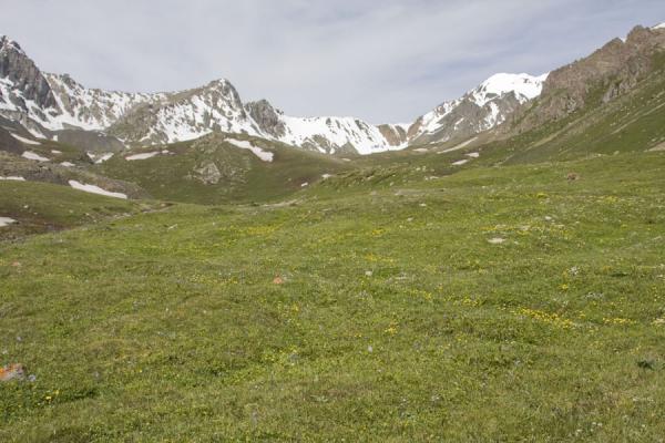 Green fields on the way to Ala-Köl pass | Randonnée Ala-Köl | Kirghizistan