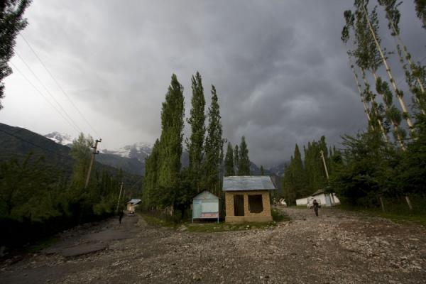 Picture of Arslanbob (Kyrgyzstan): Street with trees in Arslanbob