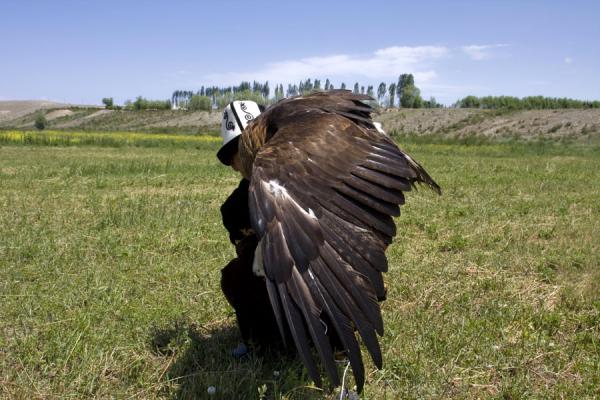 Picture of Eagle hunter with his eagle, TumaraBokonbayevo - Kyrgyzstan