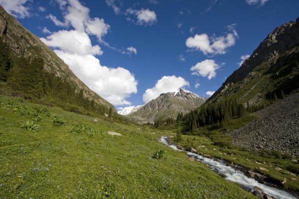 Picture of Kyrgyzstan (Ak-Suu valley: view towards Palatka Glacier)