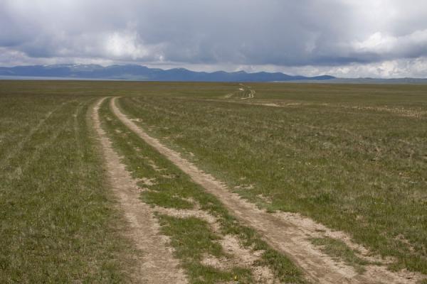 Picture of Track near Song-KölLake Song-Köl - Kyrgyzstan