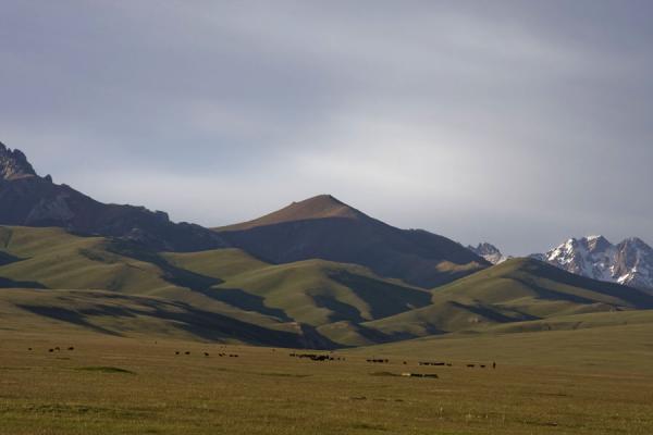 Picture of Late afternoon light over the mountains surrounding Song-Köl lakeLake Song-Köl - Kyrgyzstan