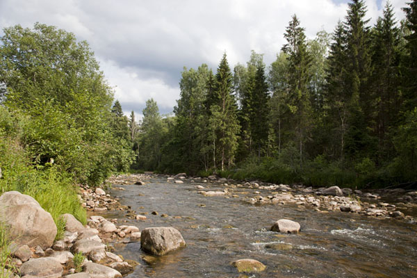 Picture of The Amata river near Zvārtes IezisKārļi - Latvia