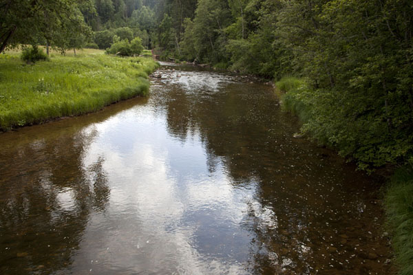 Picture of Quiet Amata river bordered by treesKārļi - Latvia
