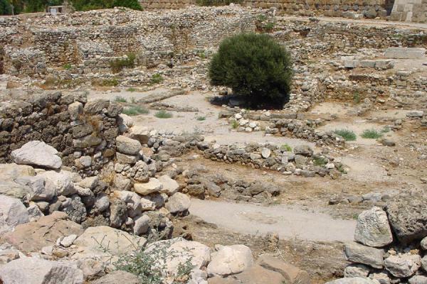 Picture of Byblos: remains of old settlement