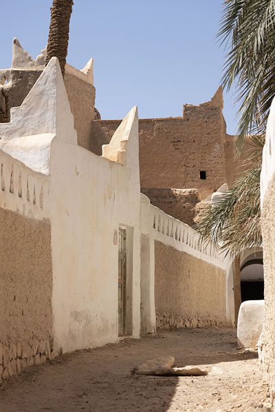 Foto van Adobe buildings with white finish in the old city of GhadamesGhadames - Libië