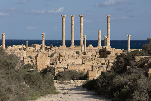 View towards the sea with columns once supporting a large building | Sabratha | Libië