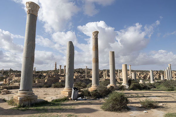 Foto di Rows of columns in the norhern part of SabrathaSabratha - Libia