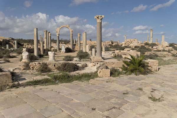 Photo de Columns galore in this part of SabrathaSabratha - Libye