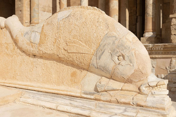 Foto van Dolphin carved out of stone in the theatre of SabrathaSabratha - Libië