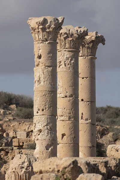 Row of columns in the ancient city of Sabratha | Sabratha | Libië