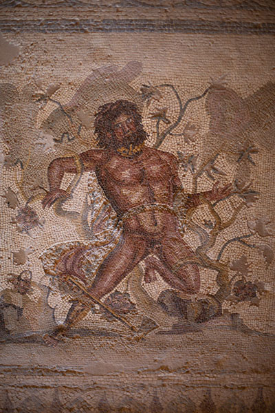 Picture of Lycurgus and Ambrosia depicted on a mosaic in Villa SeleneVilla Selene - Libya