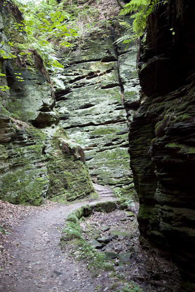 Picture of Berdorf rock climbing (Luxembourg): Rocky landscape with a trail running through
