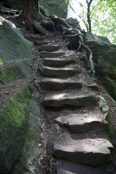 Rocky steps: a semi-natural staircase | Berdorf rock climbing | Luxembourg