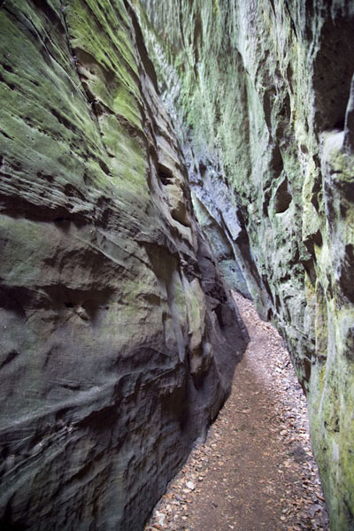 Narrow space between two rock formations | Berdorf rock climbing | Luxembourg