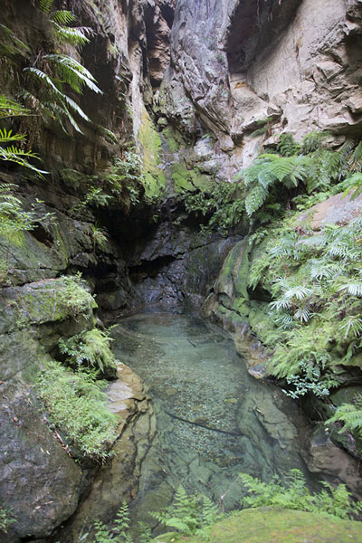 Picture of The natural royal bath in the Canyon des Makis