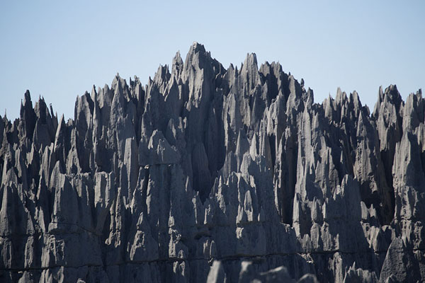 Foto van Limestone pinnacles, also known as tsingy: frontal view - Madagaskar - Afrika
