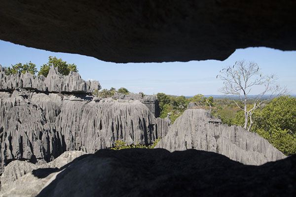 Foto de View over the tsingy from insideTsingy Bemaraha - Madagascar
