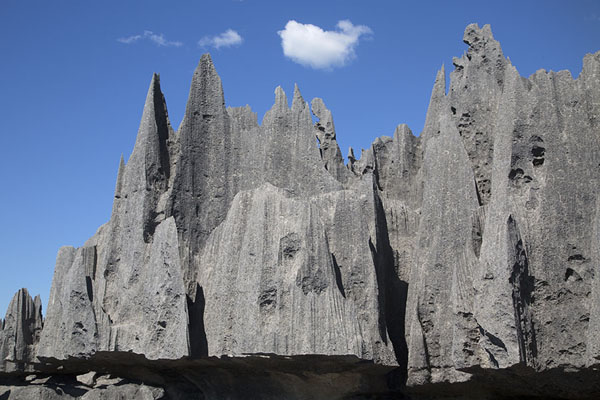 Foto van Grey limestone formations known as tsingyTsingy Bemaraha - Madagaskar