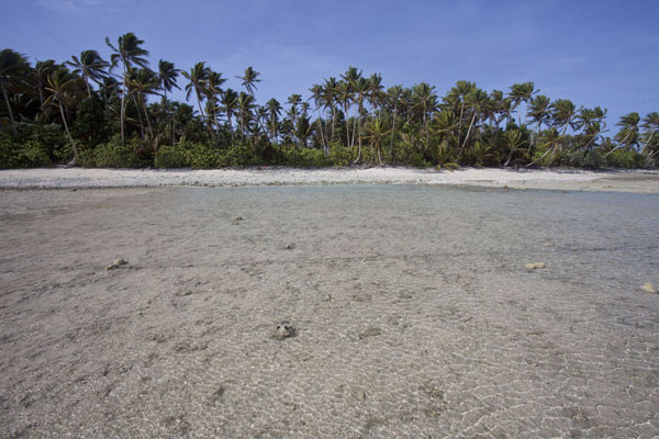 Picture of Eneko Island (Marshall Islands): Eneko island seen from the north