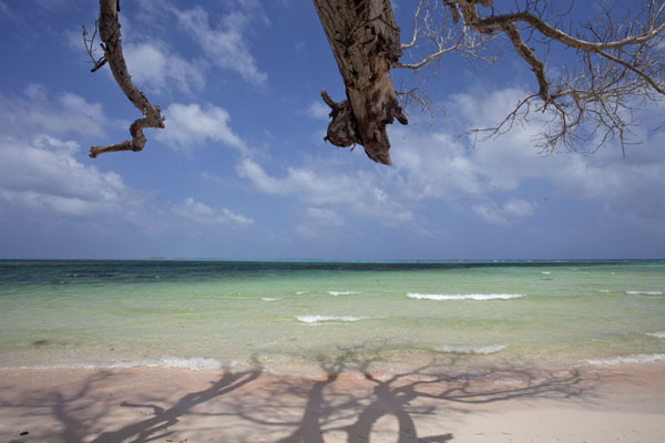 Picture of Laura (Marshall Islands): Looking north from the tip of the beach of Laura
