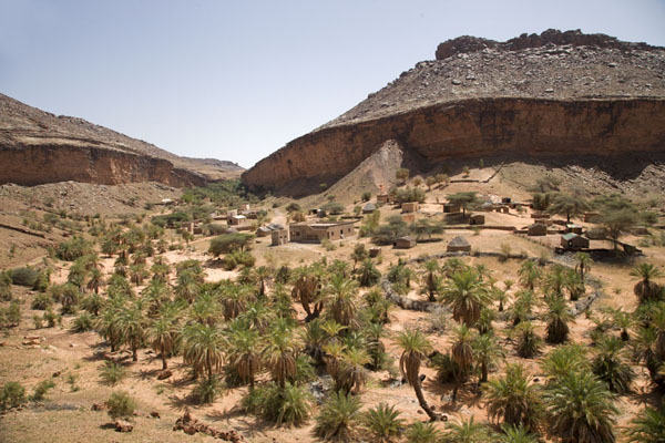 View of the village of Terjit with palm trees and rocky mountains | Terjit | Mauritania