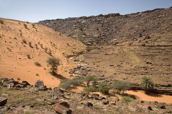Picture of The rugged landscape at the end of the oasis of Terjit, with sand dune