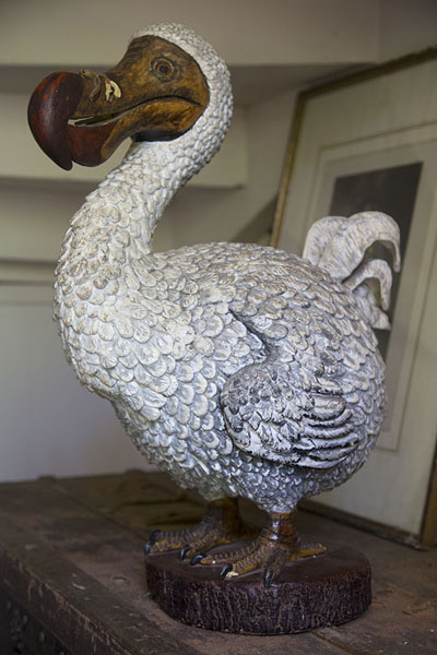 Picture of The dodo, the infamous flightless bird on display in Eureka