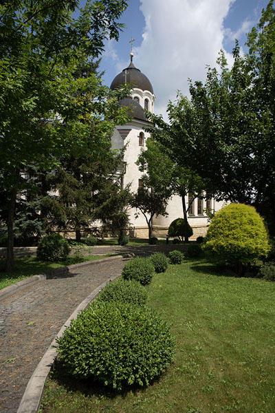 Picture of Curchi monastery (Moldova): St Nicholas church hidden behind trees at Curchi monastery