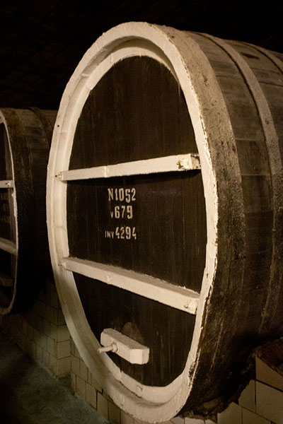 One of the barrels with wine in the underground complex of Mileștii Mici | Bodegas de Mileștii Mici | Moldavia