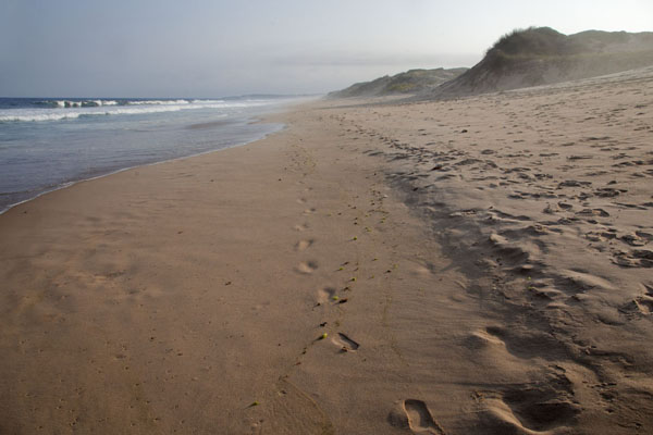 Photo de Mozambique (Stretch of empty beach south of Tofo)
